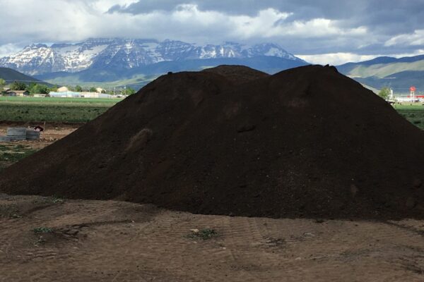 Screened Topsoil